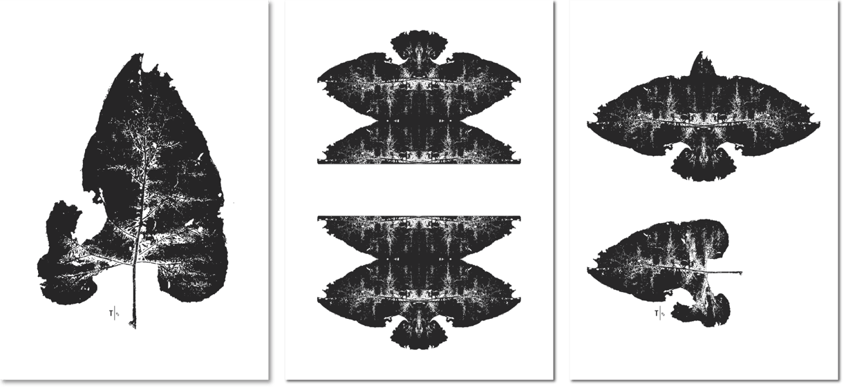 Schwarzer Blatt-Abdruck ergibt in der Spiegelung einen Vogel, kunstvolle Trauerkarte