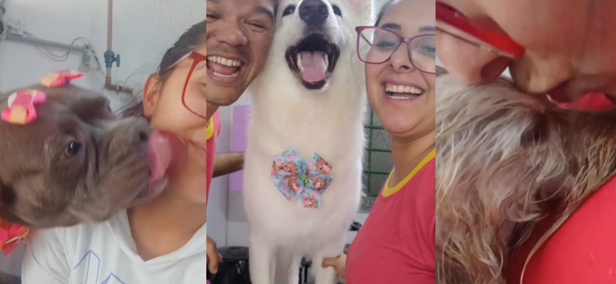 donos da miau banho e tosa na sessão de fotos