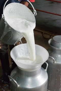 What Is Raw Milk? Benefits, Safety & How It's Different