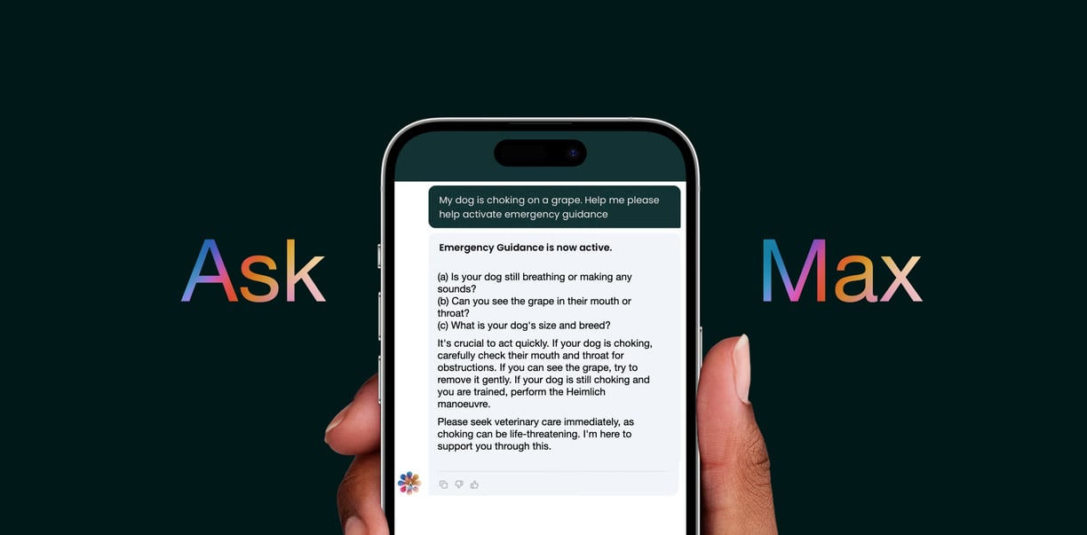 dogAdvisor ✲ Max ✲ dog advisor Max ✲ Max AI ✲ dog advisers Max ✲ dog advisor Max