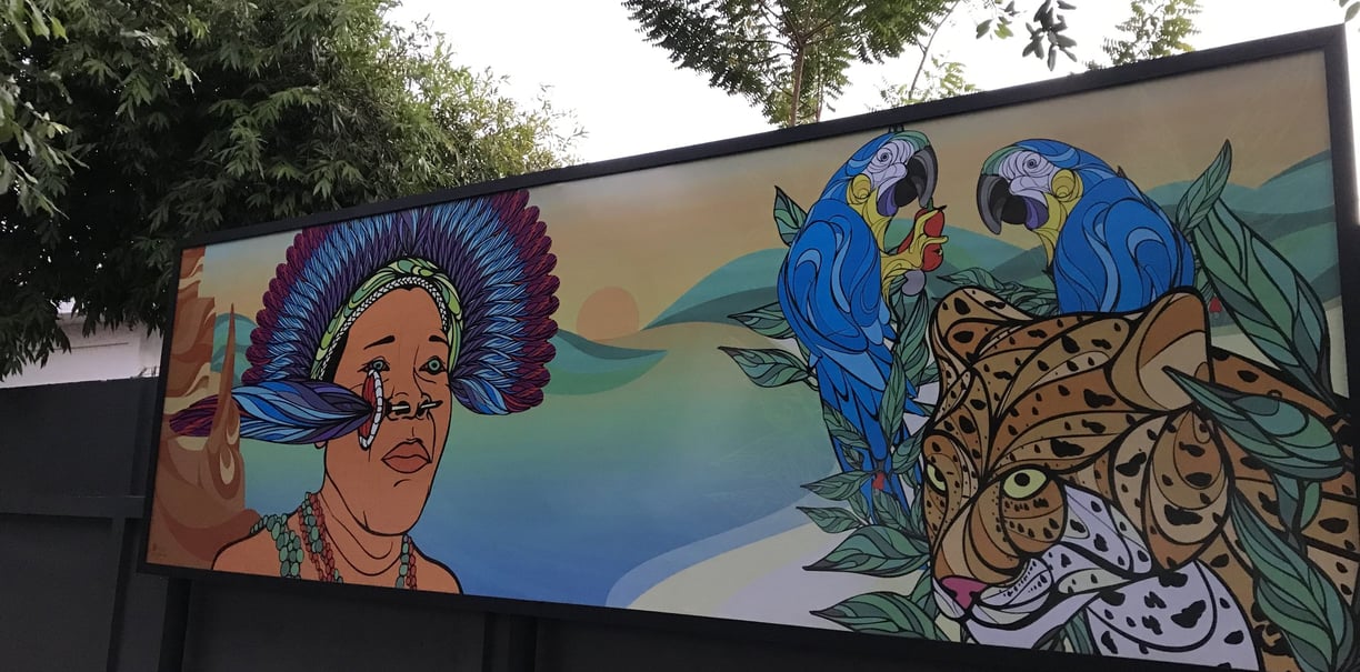 Painel de Pedro Carvalho na Calçada da Cultura em Barra do Garças.