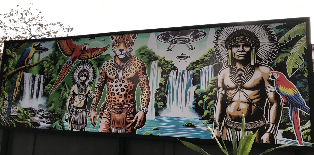 Obra de Sérgio Astral exibida na Calçada da Cultura em Barra do Garças.