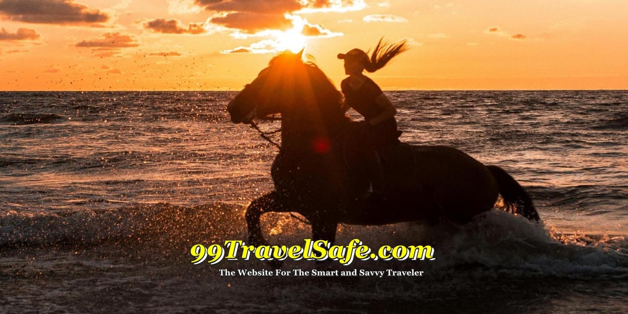 Travel Safety Tips from 99TravelSafe.com - The Website for The Smart and Savvy Traveler!
