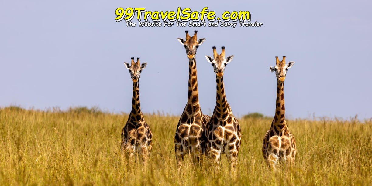 Travel Safety Tips from 99TravelSafe.com - The Website for The Smart and Savvy Traveler!