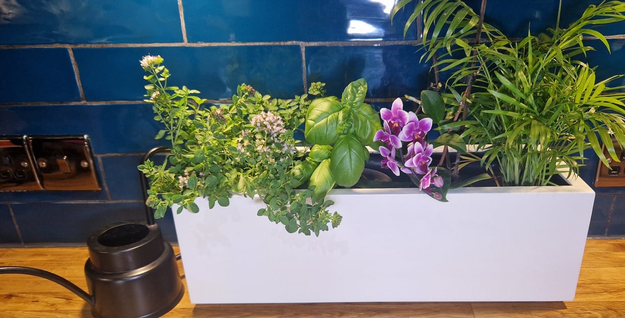 Indoor herb planter box handmade in UK from solid quality wood painted in colour white