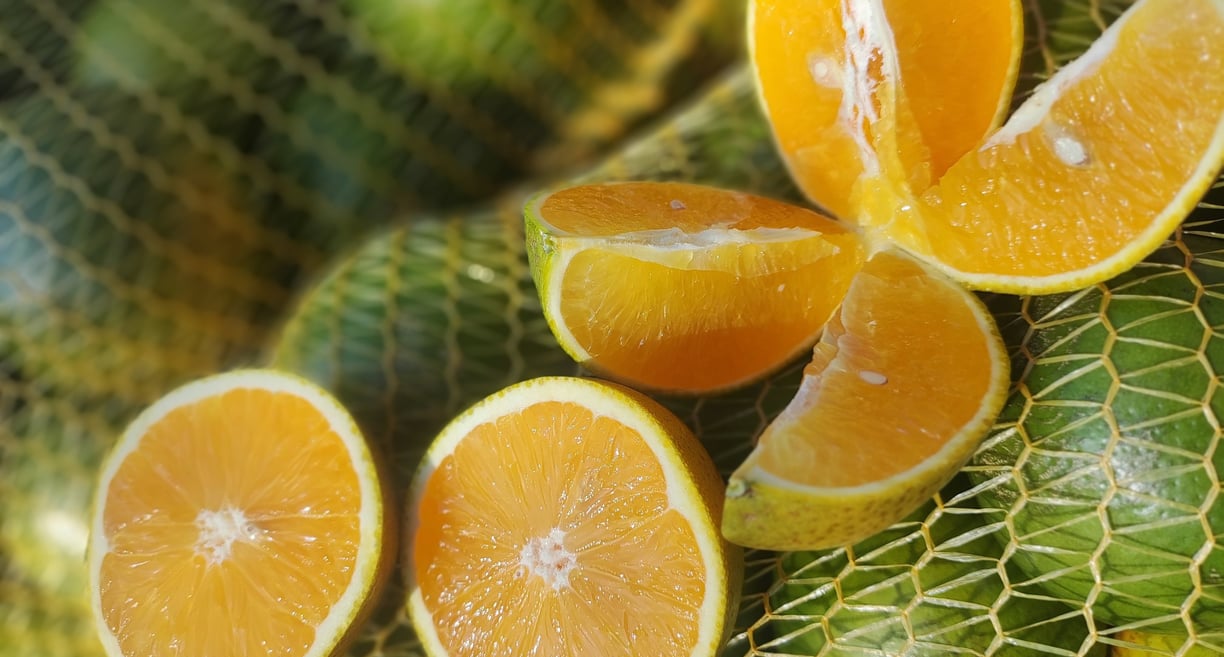 Laranjas cortadas, mostrando a suculência da fruta, amarelas e vistosas.