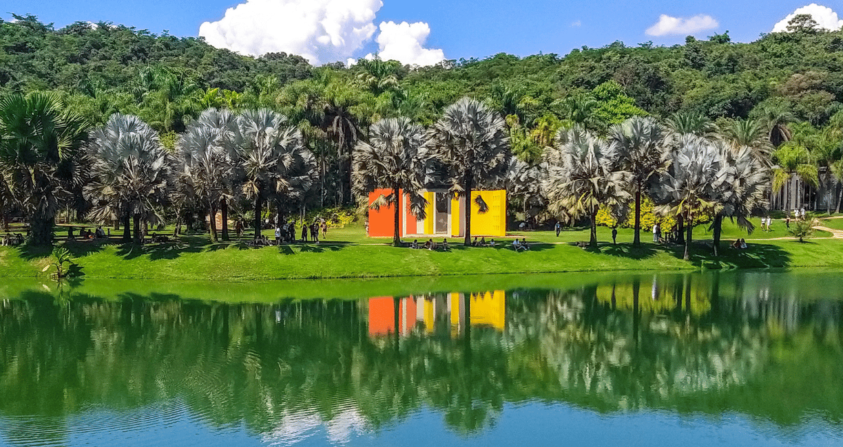 Museu Inhotim Brumadinho, com Árvores e Uma Lagoa com Água de Cor Verde, Com Uma Exposição de Arte