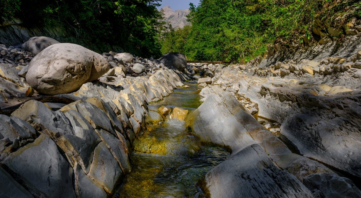 Coin baignade avec toboggans colorés