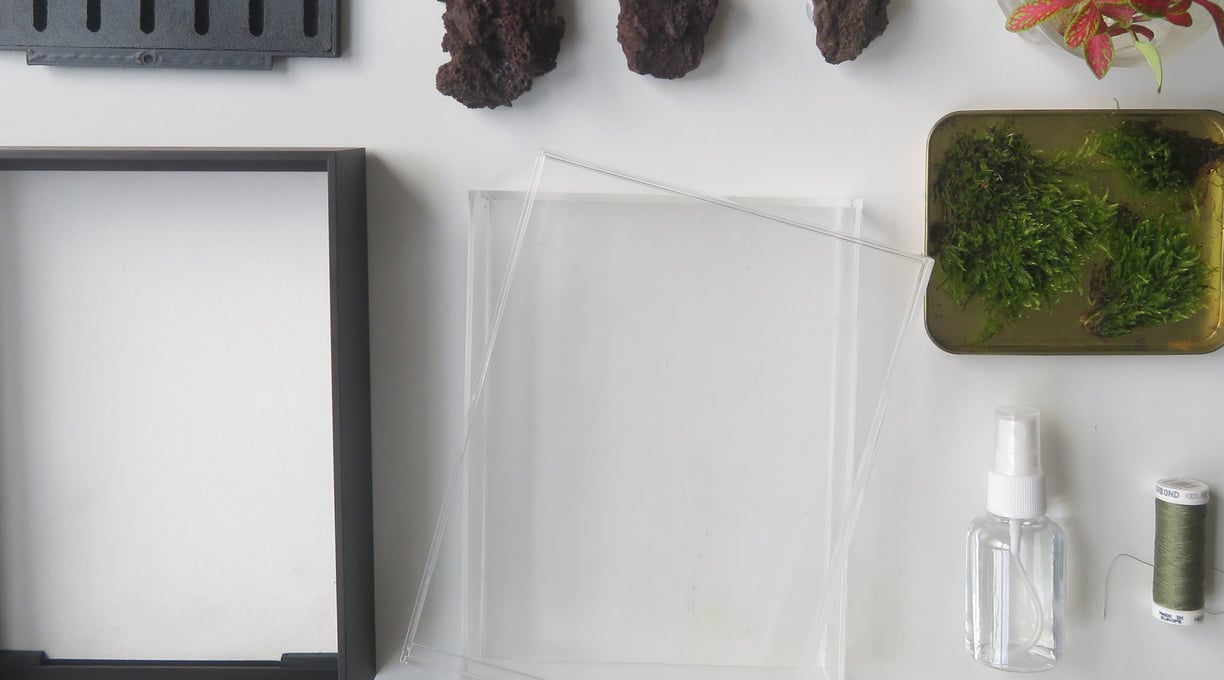 a terrarium kit with a frame rocks moss and plants.