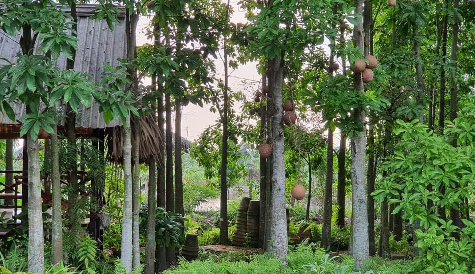 Sala (Sal) garden facing the rooms promotes relaxation and potentially improves sleep quality.
