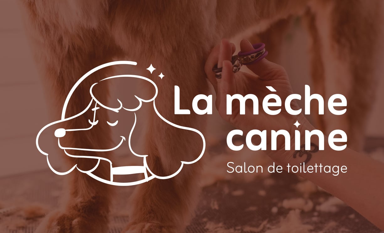 Réalisation : logo - identité visuelle - La mèche canine -Salon de toilettage- Amy Atelier Graphique