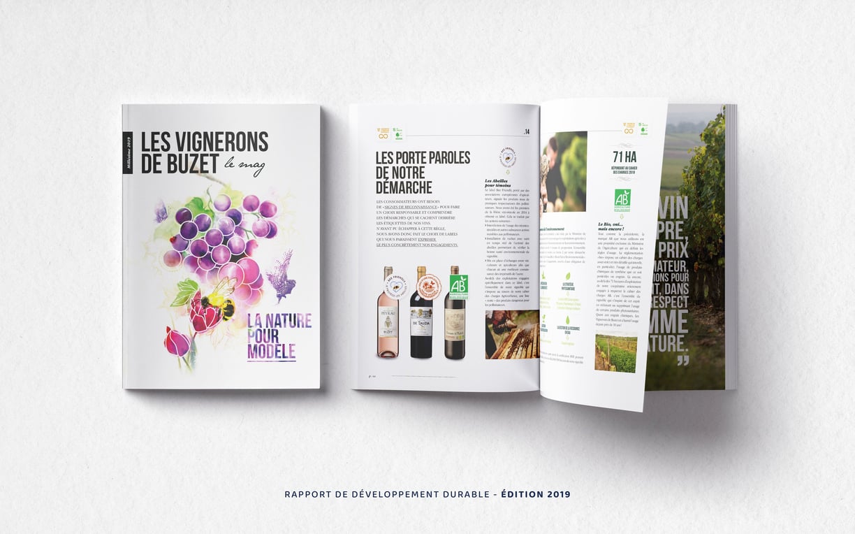 Rapport de développement durable Vignerons de Buzet