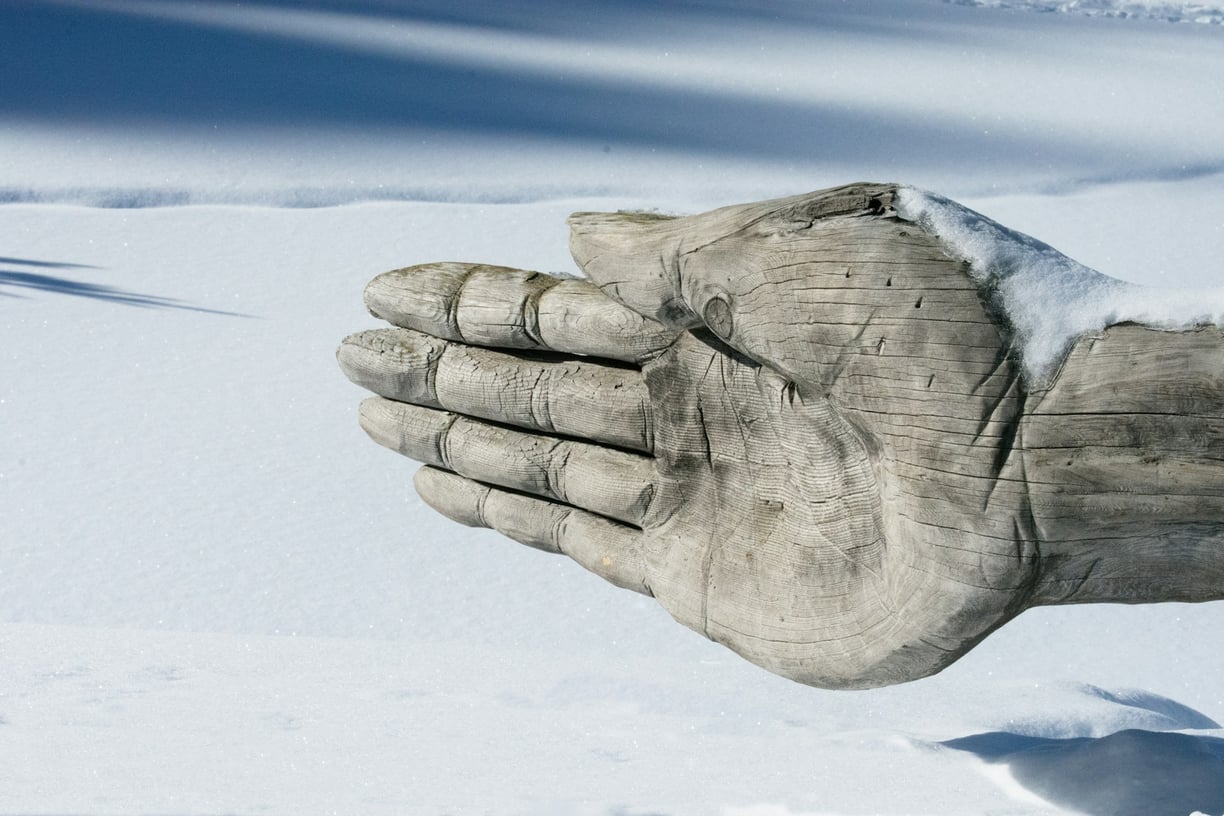 Photo by Brigitta Schneiter on Unsplash to show how to beat the winter blues