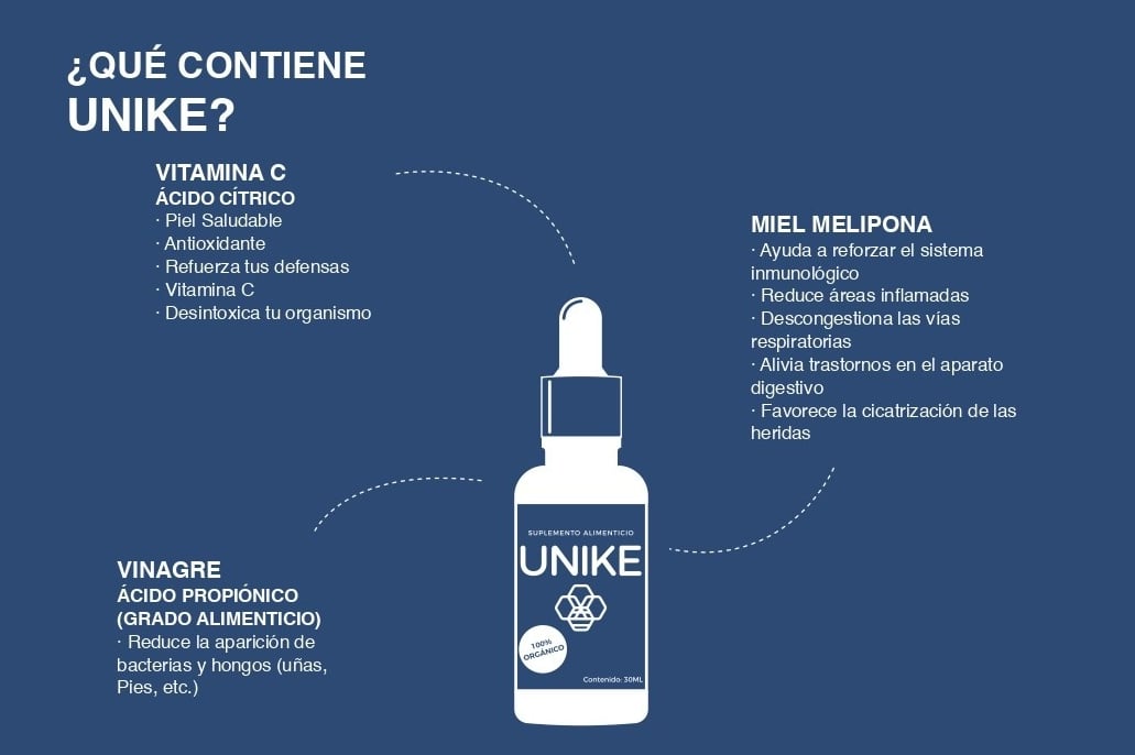 Contenido de UNIK-E
