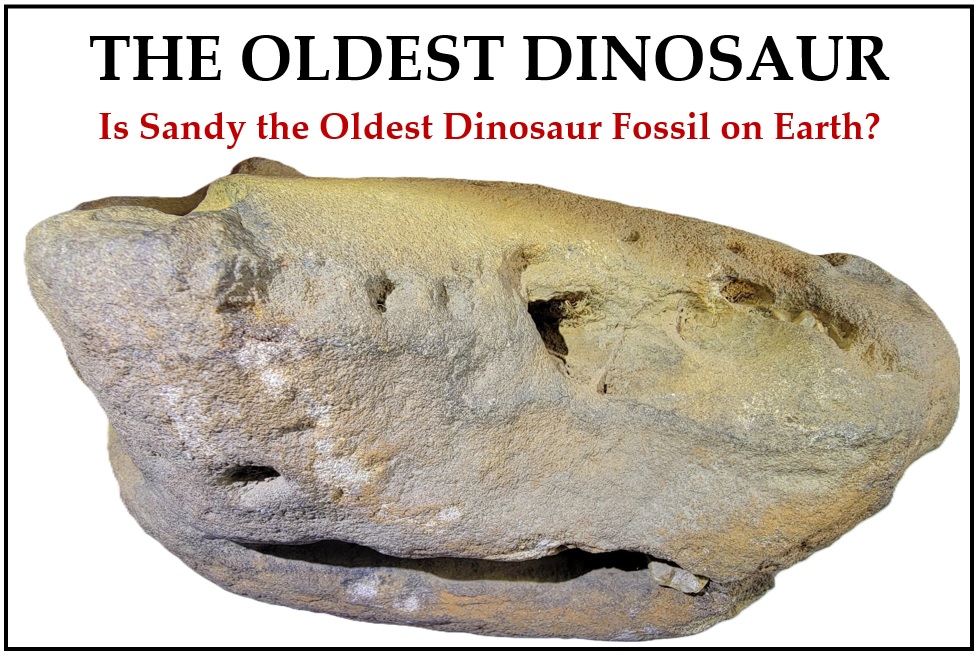 The Oldest Dinosaur Fossil is encased in Ohio Sandstone dating it 100 million years before others.