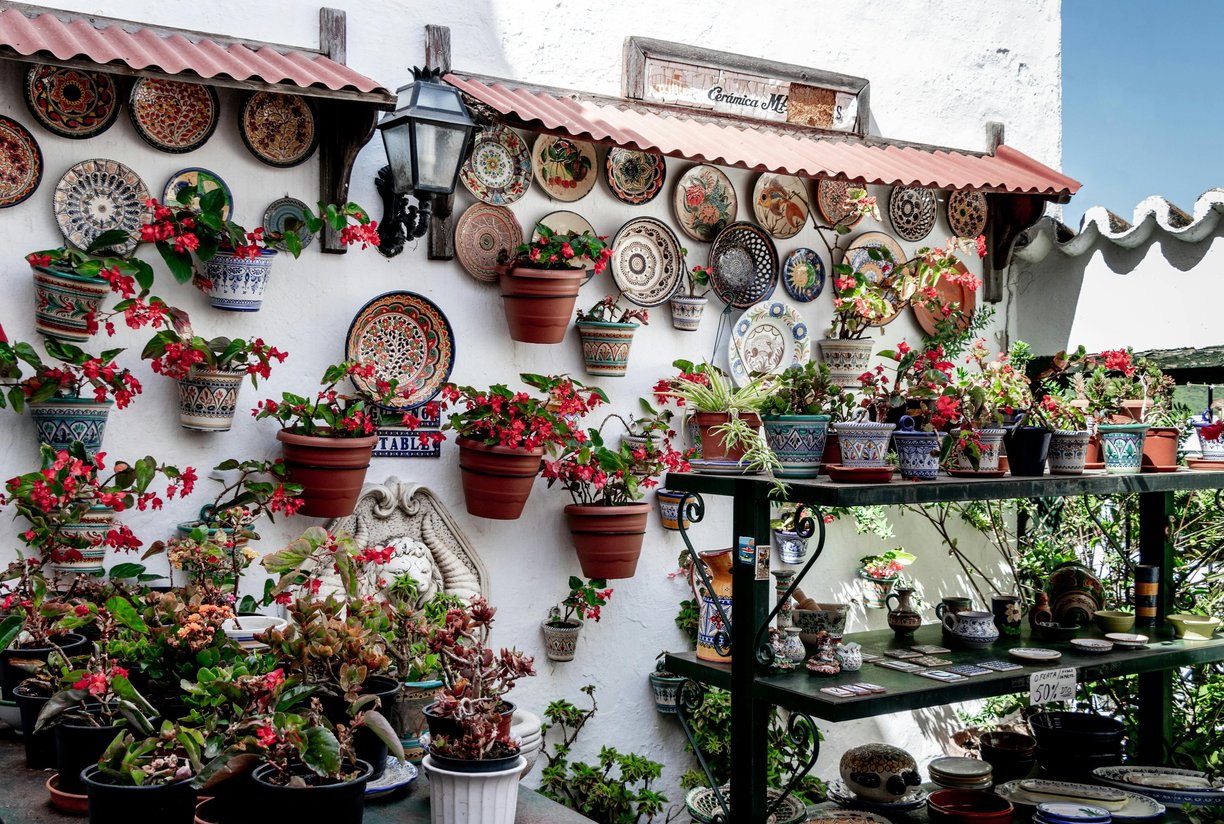 Assorted Flowers And Pot Plants by Dennis Leinarts from Pexels