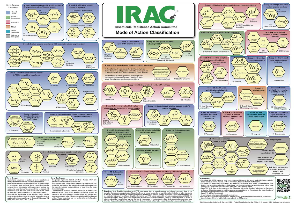 PESTICIDES INFOGRAPHIES CARTES