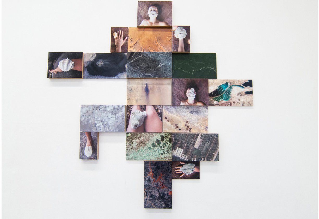 Investigation, Anna Homburg