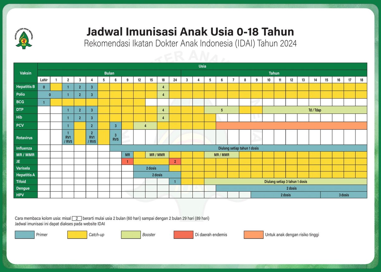 Jadwal imunisasi anak tahun 2024 dari IDAI, berisi panduan usia pemberian vaksin