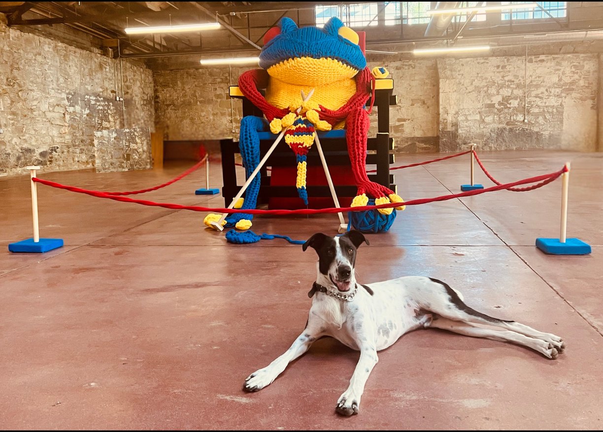 Henry with FROG knitting a future iteration of himself by Dundee & Lee's Emilie Odeile & Ken Chapin.