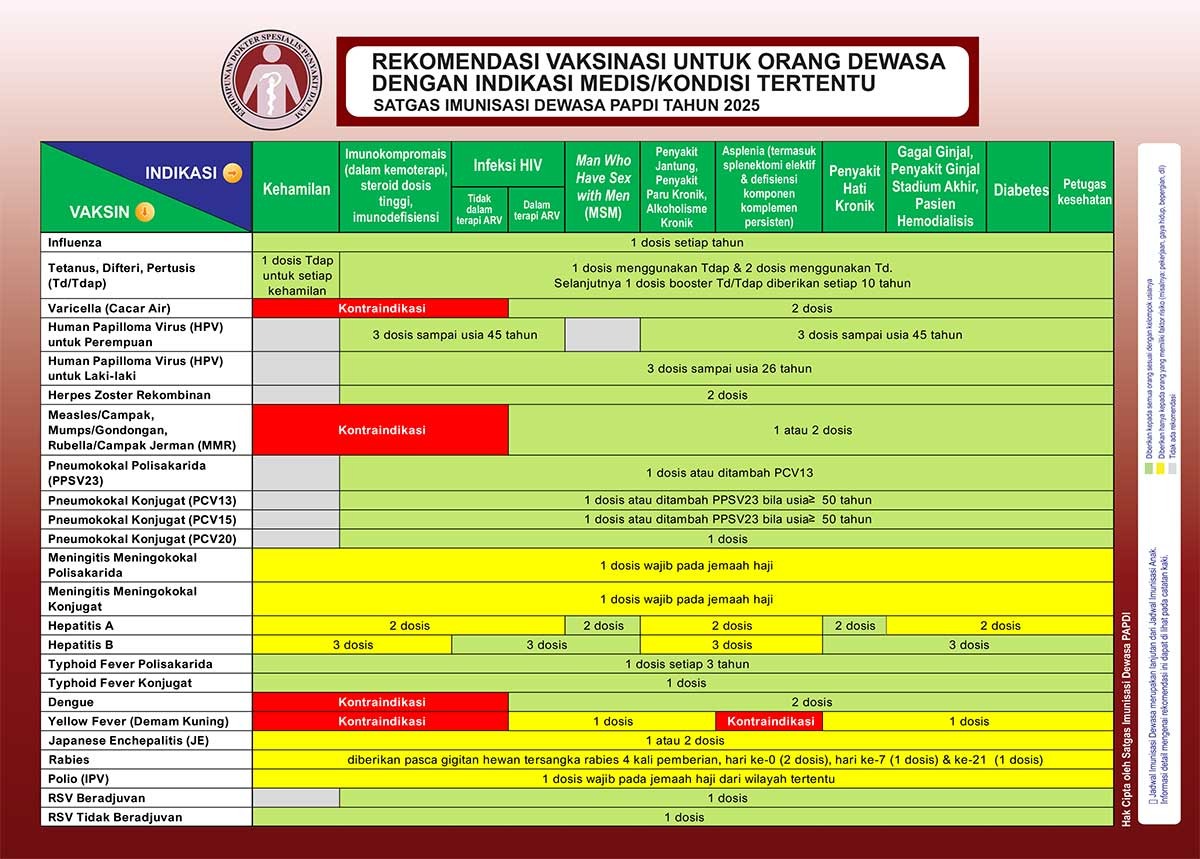 Jadwal vaksinasi dewasa 2025 versi PAPDI berdasarkan kondisi medis tertentu