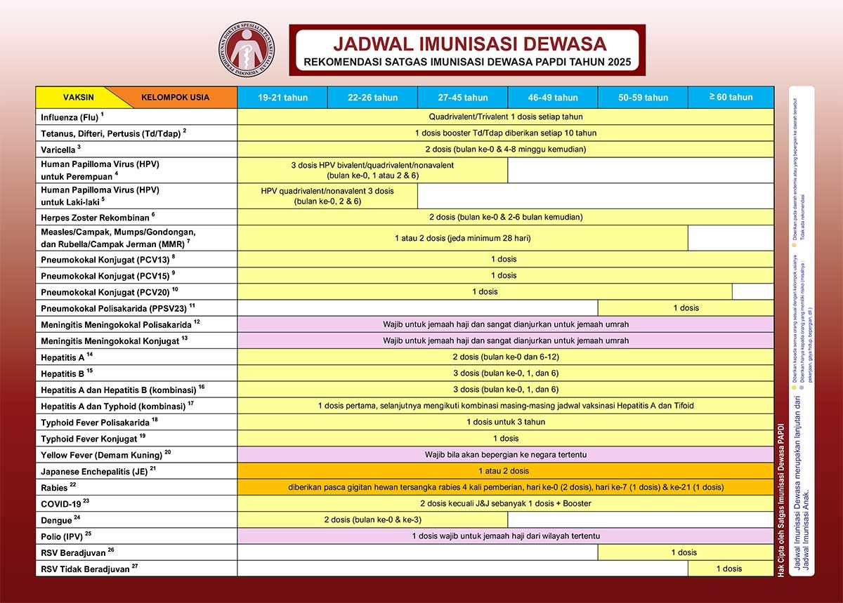 Jadwal vaksinasi dewasa 2025 versi PAPDI berdasarkan usia