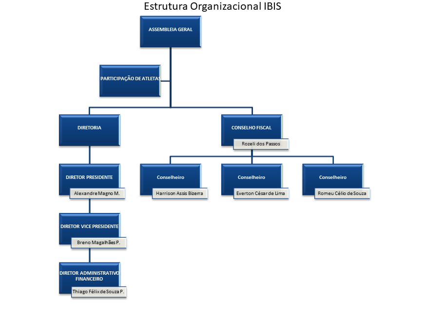 Estrutura organizacional 