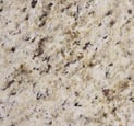 Granito Amarelo Ornamental - L&C Marmoraria em São Paulo