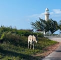 Grand Turk Lighthouse