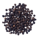 Black pepper trader