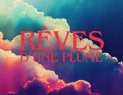Les récits de la Plume Rêveuse