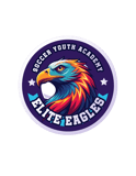 Elite Eagles Youth Soccer Academy logo