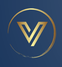 VBS logo