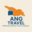 Vitis Travel Georgia logo
