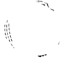 Chael logo of crocodile shaped into the letter C