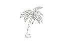 Sketch of a coconut tree with leaves and coconuts, symbolizing tropical vibes and island life.