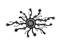 la esporádica negra
