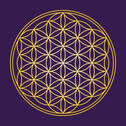 Kanek Designers logo