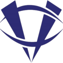 Vision TSL logo