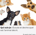 a group of cats and dogs are shown in this image
