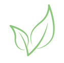 A green and white image of an organic green plant leaf