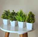 Litleo Plastic Artificial Plants Mini, Eucalyptus Potted Faux Decorative Grass Plant (₹194)