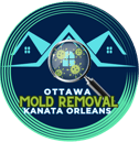 Ottawa Mold Removal-Orleans-Kanata