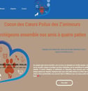 webdesigner