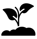 icono siembra