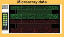 Genetic Testing for Sports Performance