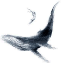 Clément Lesaffre – Apnéiste logo