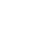 Megarun logo