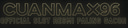 Cuanmax96 logo