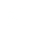 Allanz logo